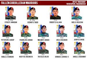 SAF WOLVERINES. These pictures should remind us not of our loss but of how these Heroes gave more chances of living our lives in peace.