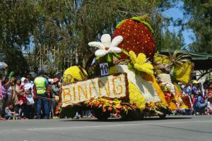 Barangay Bineng featured a giant strawberry made from red roses float during the mini-float parade of the La Trinidad 36th Strawberry Festival last March 19, 2017. (March 27, 2017) PAULYNE ANTONIO, UP Baguio Intern, PIA-CAR. 