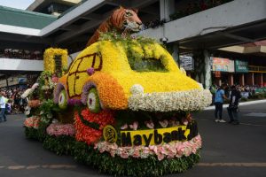SMALL BUT BEAUTIFUL. First timers Maybank was declared as the snall float category champion in the recent Panagbenga Grand Float competition. RMC PIA-CAR.