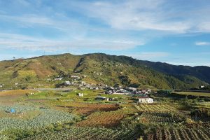 FOOD SOURCE. Benguet farmers experienced a good stretch of bountiful harvest due to good weather condition. The upcoming dry season will be another challenge in the agriculture sector as some areas in the region are now experiencing a low water supply. (April 9, 2017) JOSEPH B. MANZANO