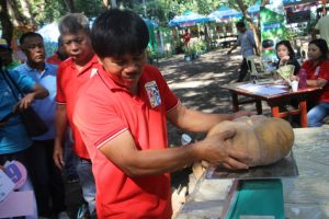 WEIGHING THE BIGGEST. Adding more excitement to the guests and visitors of the 1st Pangasinan Umaani expo held at the Provincial Agriculture Center in Tebag, Sta. Barbara from March 28 to April 1, 2017, the ‘sangka’ or pinaka contests held during the Agew na Umaanid Tanaman on March 30 showcased the biggest and longest fruits and vegetables and most palatable pinakbet. (April 6, 2017) Photos by Gibson Perez /MGNO